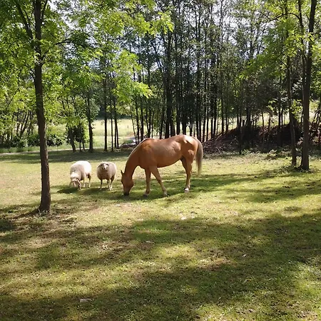 Cascina Reciago Agroturismo *