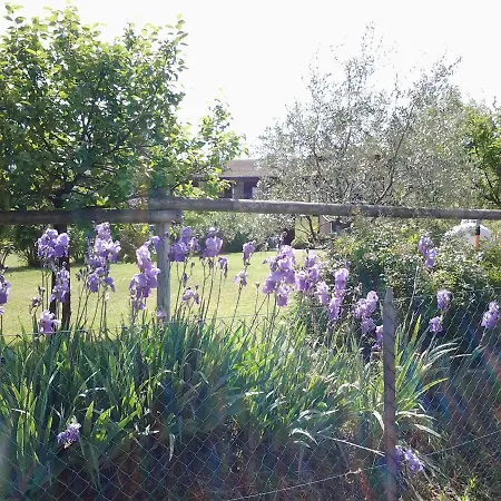 Cascina Reciago Alloggio per agriturismo